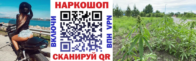 ГАШ Фёдоровский